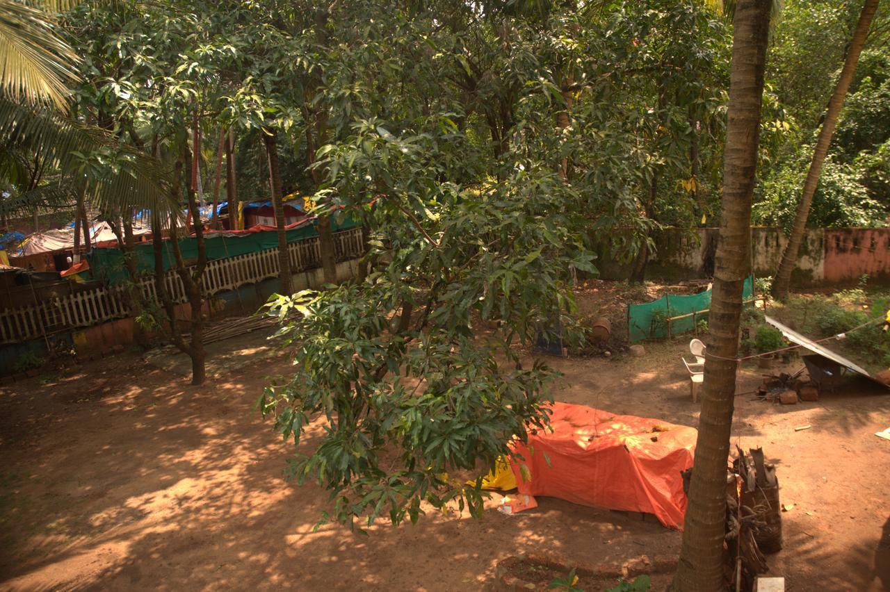 Namahstay Eco Hostel & Coworking & Art Community Space Arambol Eksteriør bilde